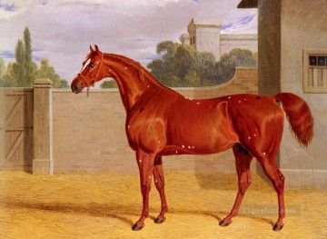  horse Art Painting - Comus Herring Snr John Frederick horse